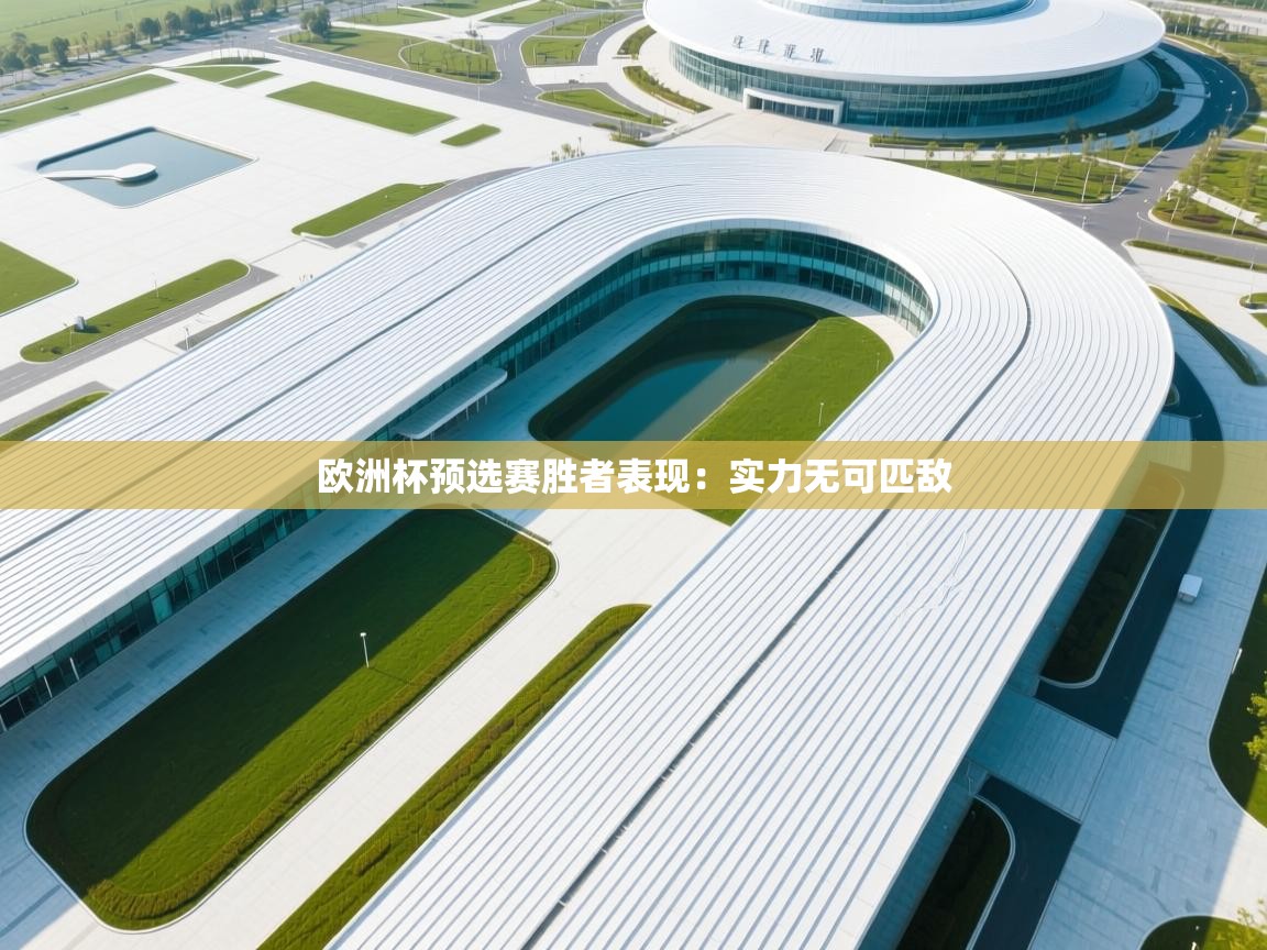 欧洲杯预选赛胜者表现：实力无可匹敌  第2张